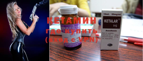 стаф Алзамай
