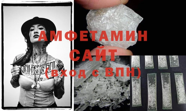 стаф Алзамай