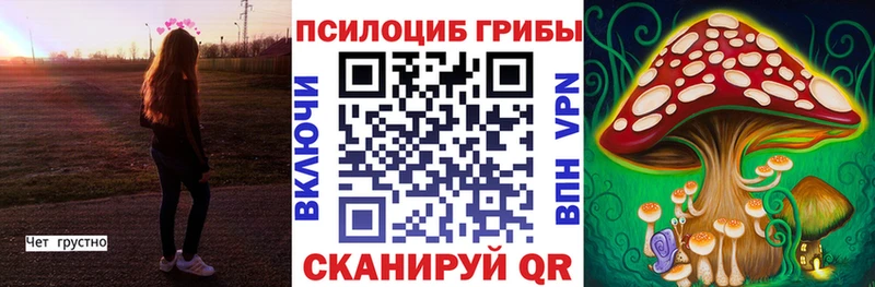 Псилоцибиновые грибы мухоморы  купить наркоту  Касимов 