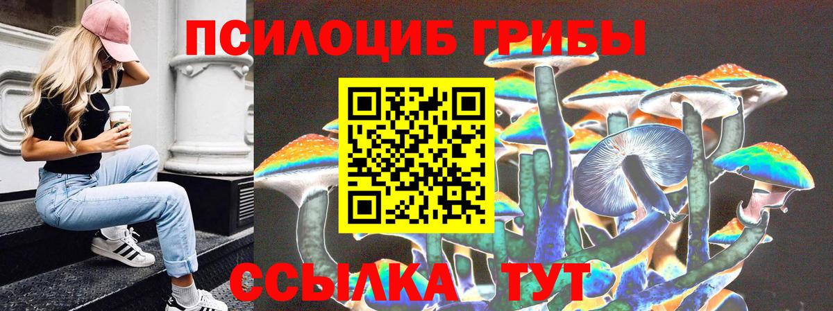 Касимов  Галлюциногенные грибы Magic Shrooms  Вход с VPN 