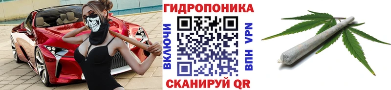 Канабис Amnesia  Касимов 